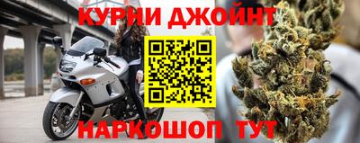 стафф Кингисепп
