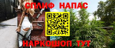 стафф Кингисепп