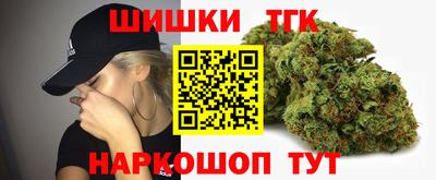 стафф Кингисепп