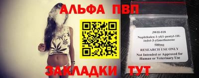 стафф Кингисепп